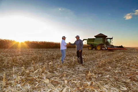 Farmers in corn field in Brazil