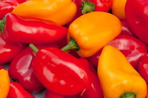 Angello Seedless Peppers