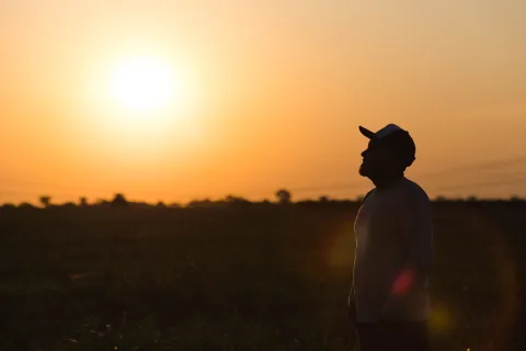 Farmer during sunset
