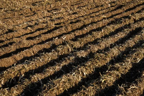 No-till seeding finished land