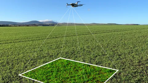 Drone over a field in Italy