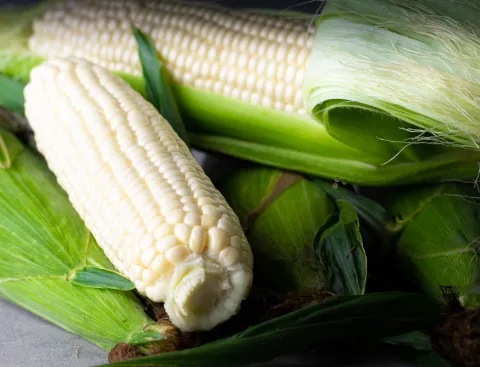 Glacial white sweet corn