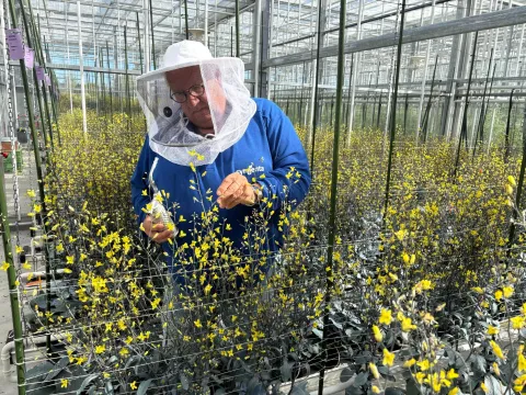 Joop Kampen beekeeper