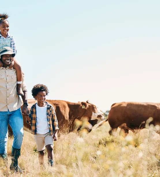 Family in Africa surrounded by cows in field