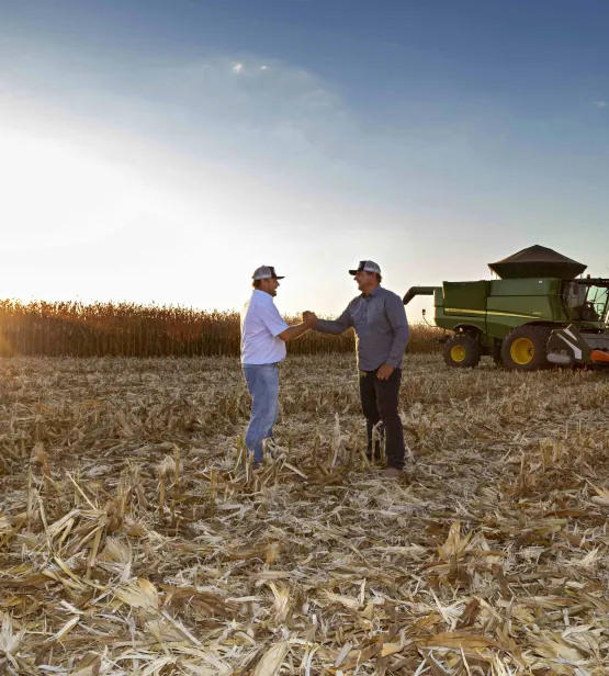 Farmers in corn field in Brazil