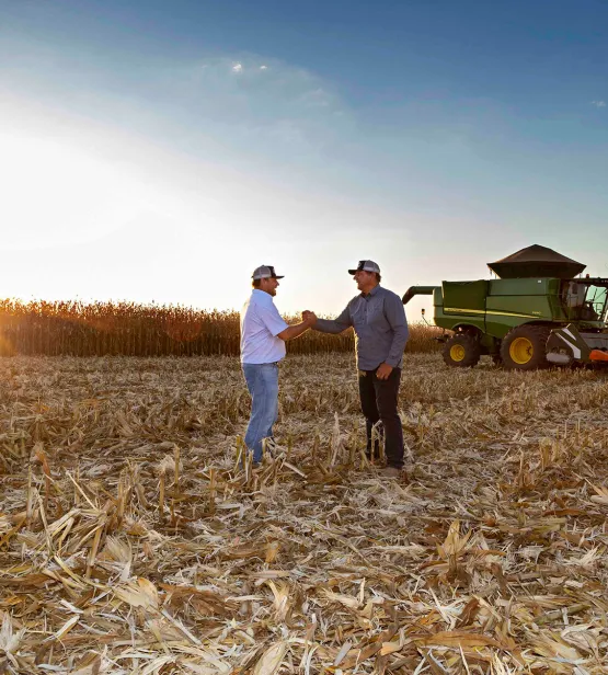 Farmers in corn field in Brazil