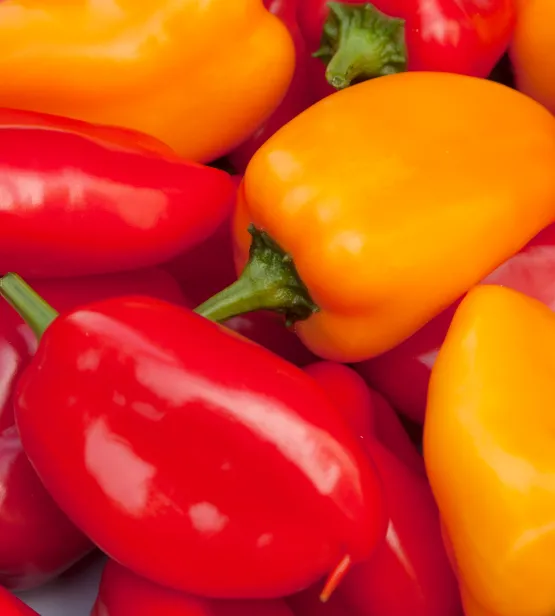 Angello Seedless Peppers