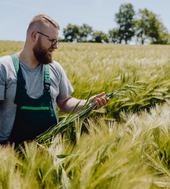 Man in field of barley