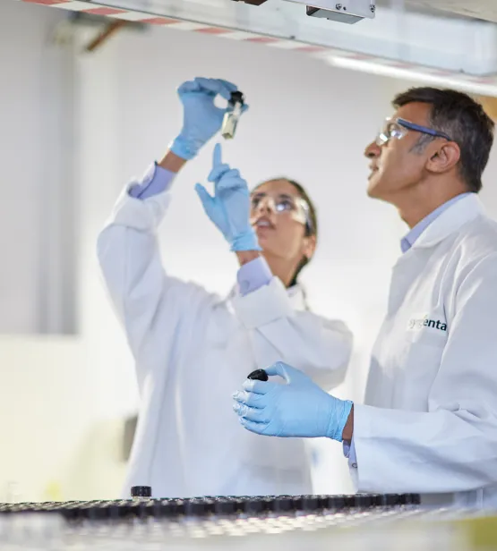 Scientists in a laboratory