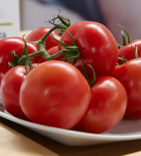 Low Res TomatoVision Robotics