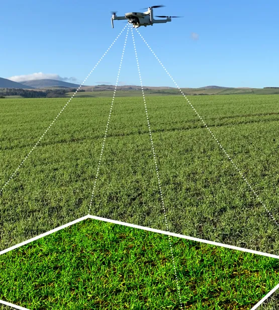 Drone over a field in Italy