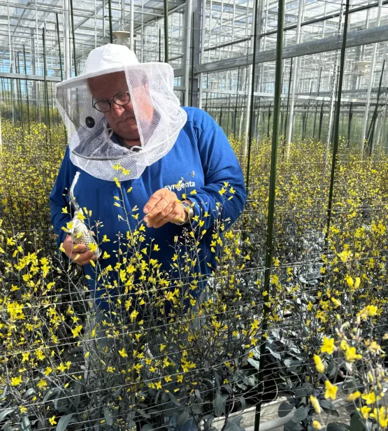 Joop Kampen beekeeper