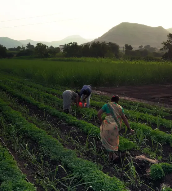 Tale of Two Farms Story Featured IMG