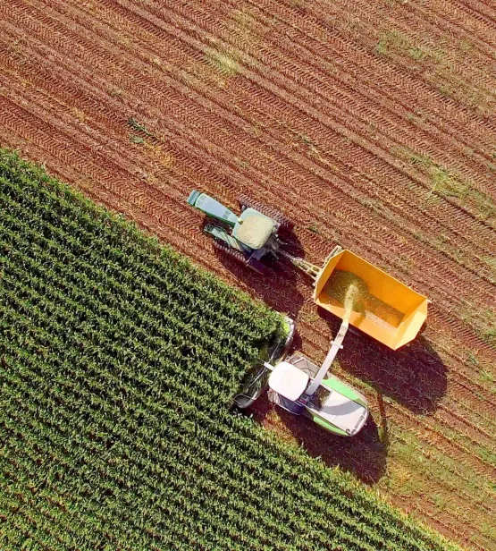 Farm machines harvesting corn