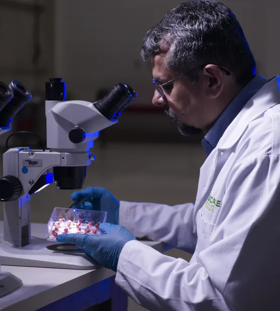 Scientist looking through a microscope