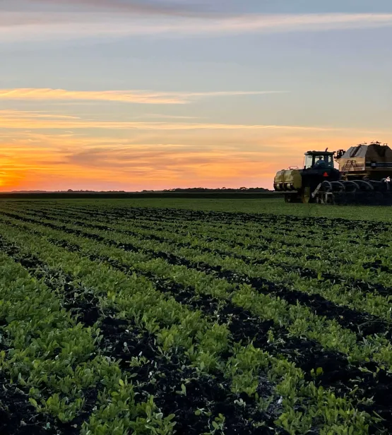 Soil health strip till cover crop