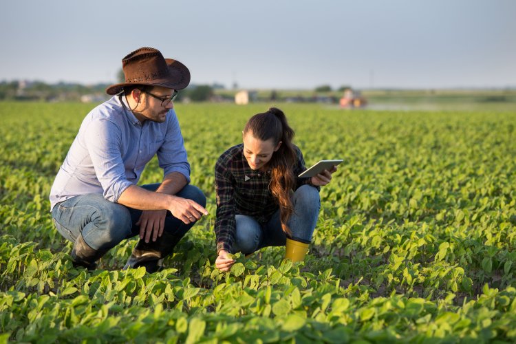 Two farmers crouching in the field