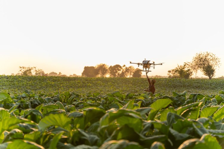 Drone_agriculture-drone-fly-farmers-are-launching-drones-spraying