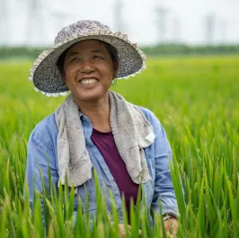 Chinese female grower in rice field