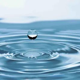 Water drop