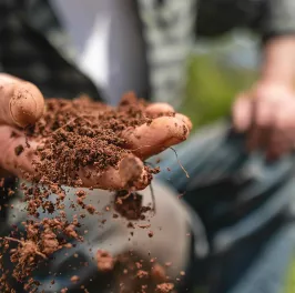 Man Examining Soil