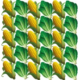 Row intercropping