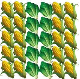 Strip intercropping