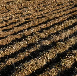 No-till seeding finished land