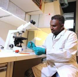 Man working in the lab