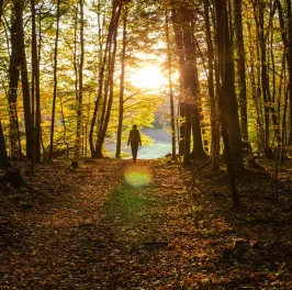 Woman walking in a forest