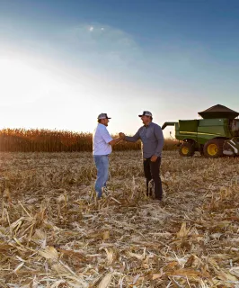 Farmers in corn field in Brazil