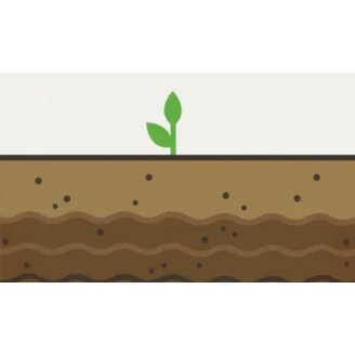 soil ilustration