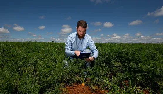 Cropwise AI Story Header IMG