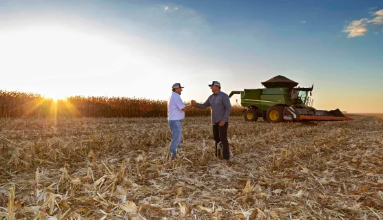 Farmers in corn field in Brazil