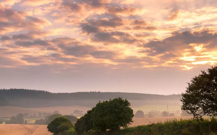 BG Image83.png