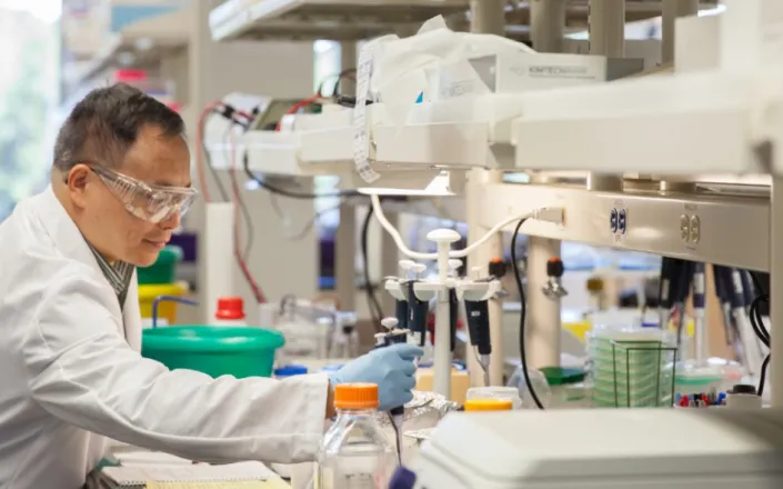 Our research areas