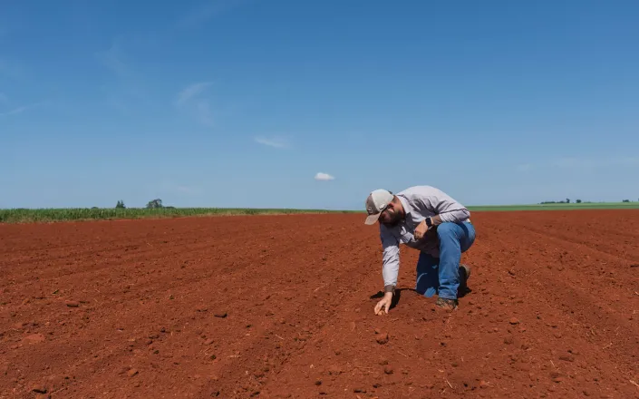 Agronomist analyzing soil planted with potatoes in São Paulo State, Brazil.jpg