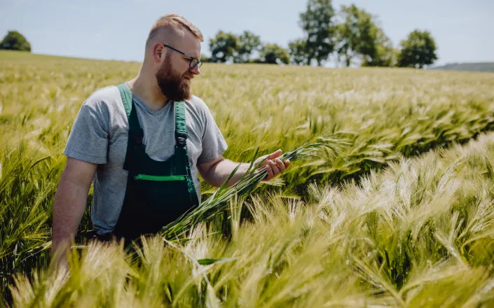 Man in field of barley