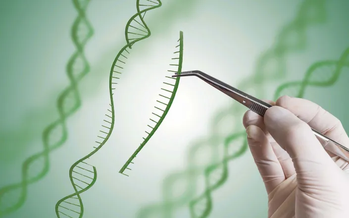 Genome+editing+Out+Licensning.