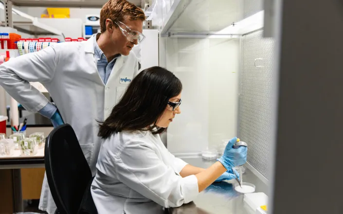 genome editing