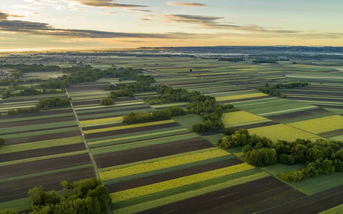 Aerial view of field for financial results 2026