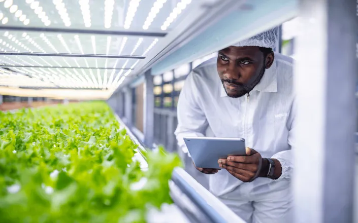 Checking_crop_in_greenhouse