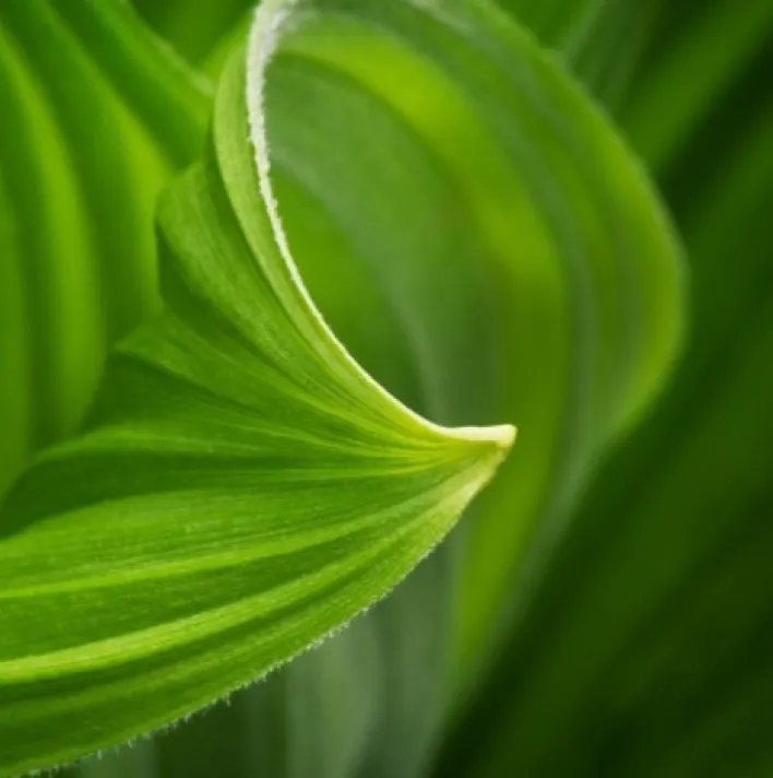 Sustainability priorities square