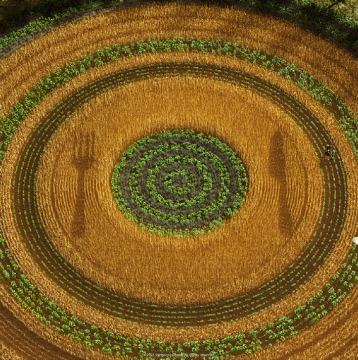 Regenerative Agriculture 