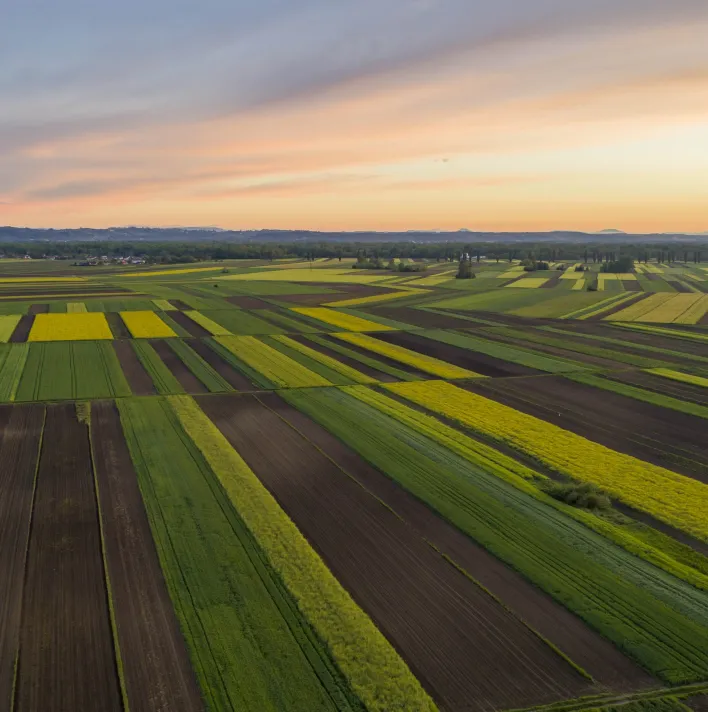 Aerial view of agricultural fields