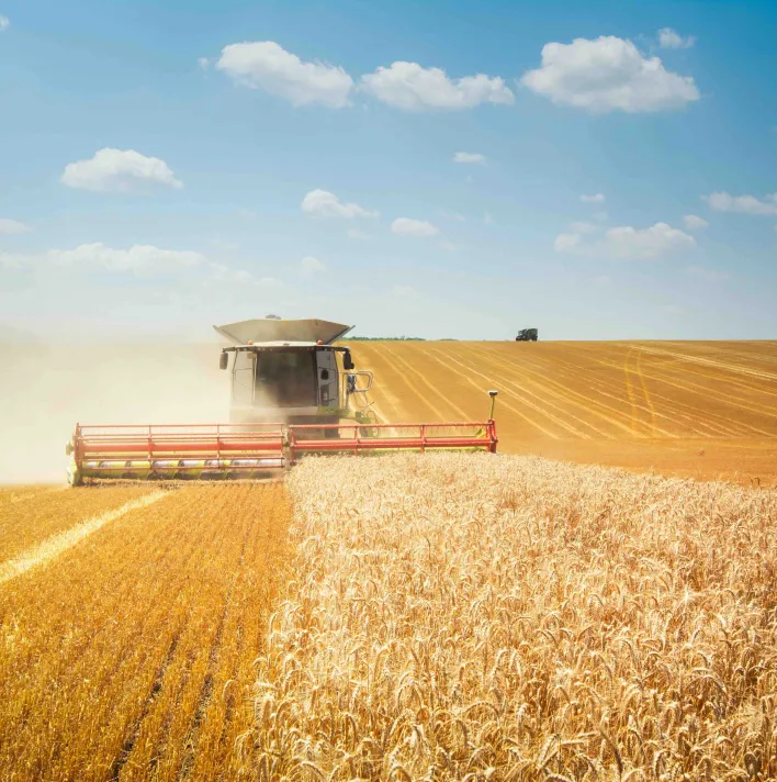 Combine harvester on wheat field