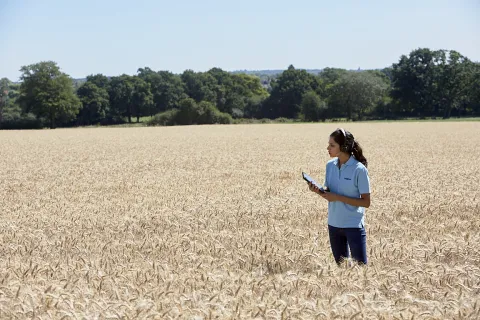 Woman using technology in wheat field