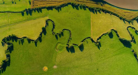 Aerial view of cultivated landscape in south France