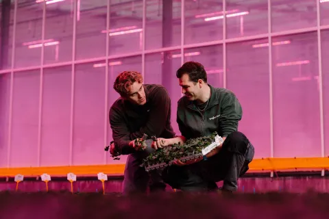 Men working in greenhouse