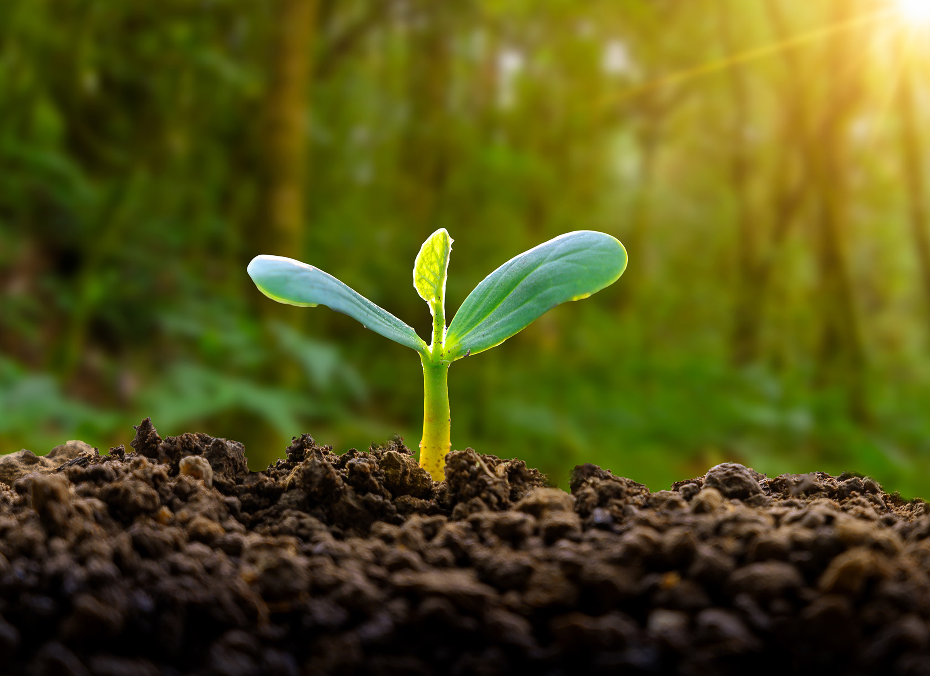 Full Year Results 2023